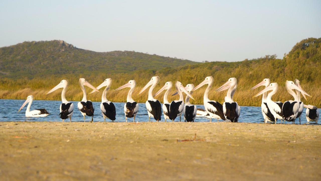 Castaways Moreton Island Bulwer Buitenkant foto